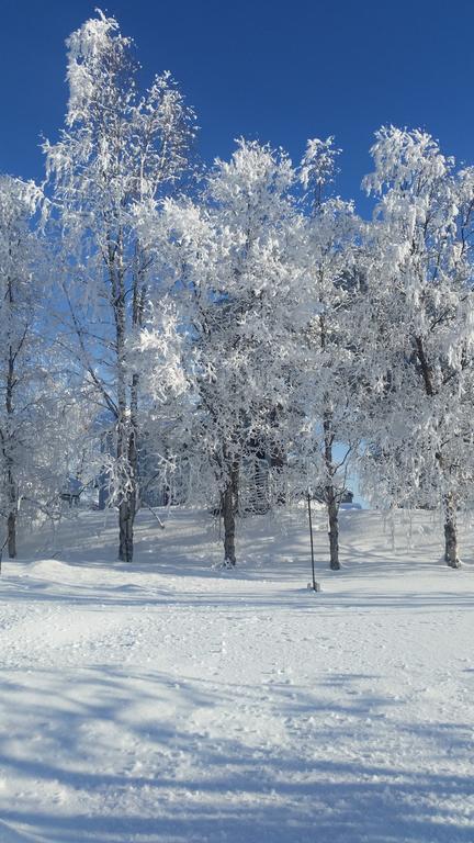 Gällivare Bed&Breakfast Bed & Breakfast